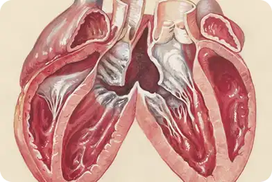 World Tuberculosis Day